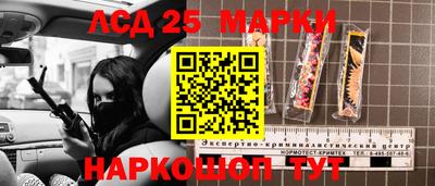 спиды Дубна