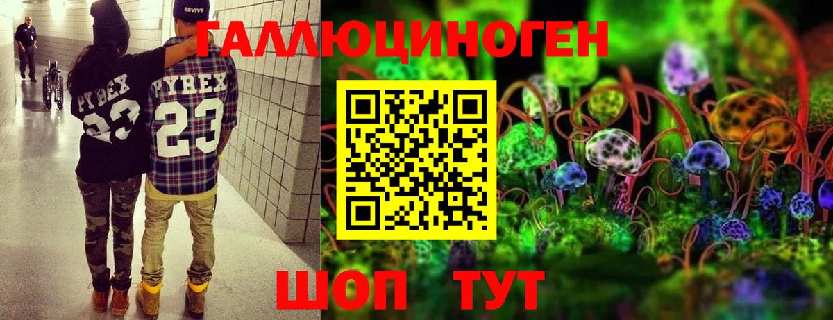 Псилоцибиновые грибы GOLDEN TEACHER  Вход с VPN  Псилоцибиновые грибы MAGIC MUSHROOMS  Кулебаки 