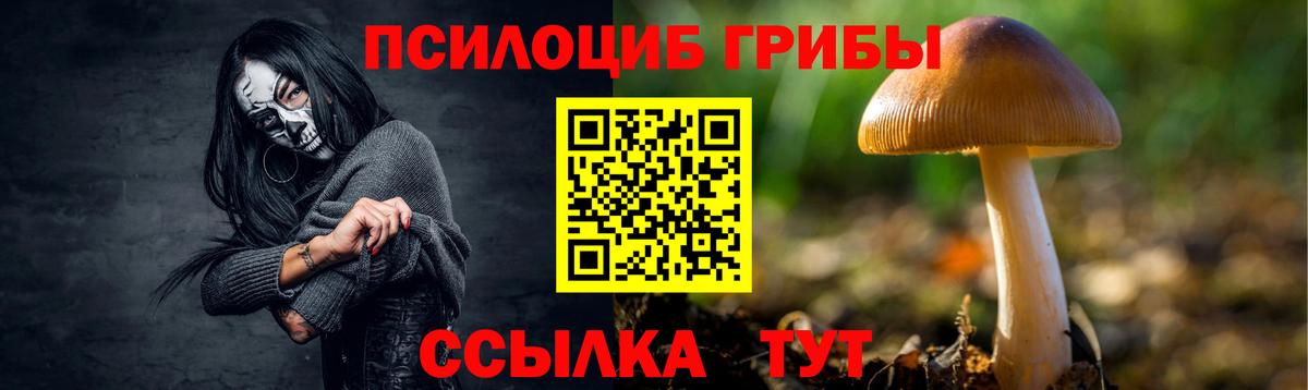 Галлюциногенные грибы ЛСД Кулебаки